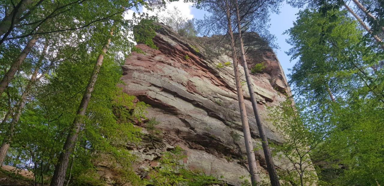 Ferienhaus Dorfschmiede Schönau エクステリア 写真